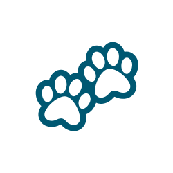 Two blue paw prints on a white background